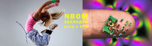 сатива Ростов