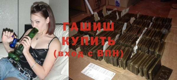 сатива Ростов