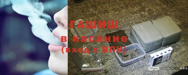 сатива Ростов