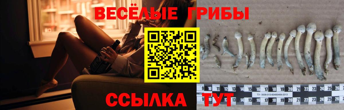 Лесозаводск  Псилоцибиновые грибы ЛСД  Вход с VPN 
