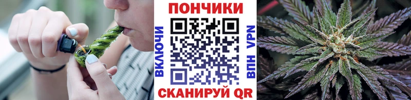 Марихуана OG Kush  закладки  Лесозаводск 